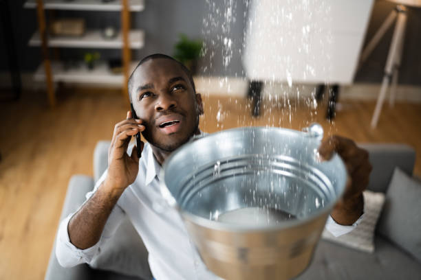 Best 24-hour water damage restoration  in Fort Defiance, AZ