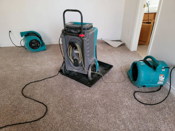 Best Local water damage restoration  in Fort Defiance, AZ