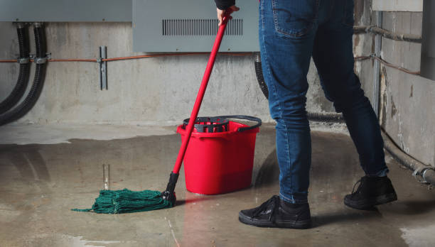 Best Water damage restoration process  in Fort Defiance, AZ