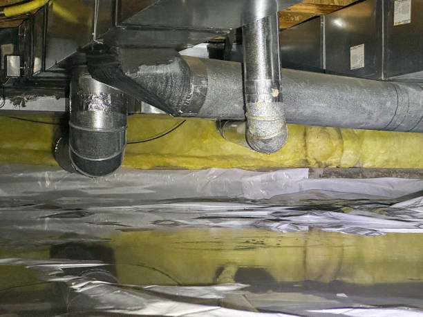 Best Flood damage cleanup  in Fort Defiance, AZ