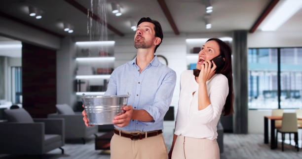 Best Fire Damage Restoration  in Fort Defiance, AZ
