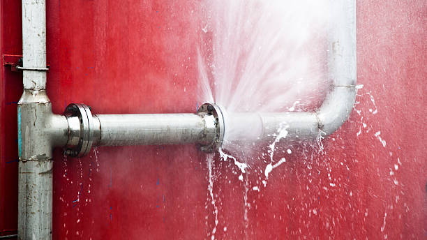 Best Basement water damage restoration  in Fort Defiance, AZ