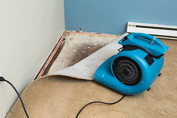 Best Water damage restoration company  in Fort Defiance, AZ